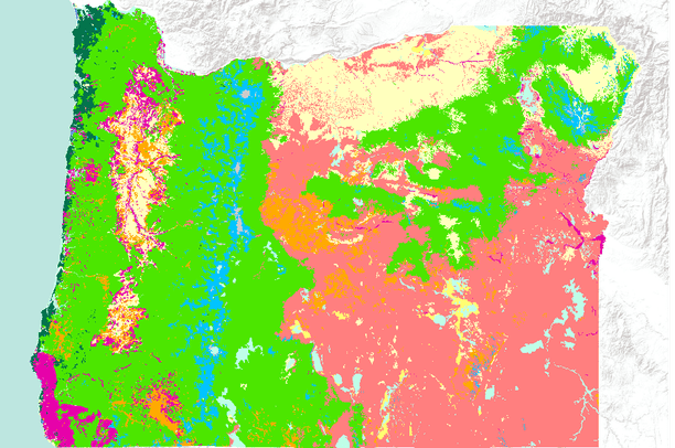 vegetation-mapping
